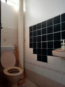 ein Bad mit einem WC und einem Waschbecken in der Unterkunft Homestay Idaman Penang in Permatang Pauh