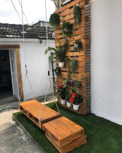 a swing hanging from a wall with potted plants at 綠島海泡泡的家 in Kung-kuan