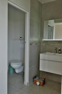a bathroom with a toilet and a sink and a mirror at The Whale and Waddler in Kleinmond
