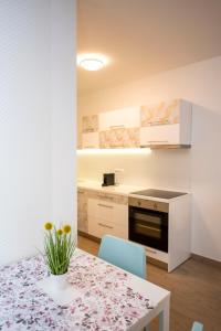 Kuchyňa alebo kuchynka v ubytovaní Lovely apartman- free parking