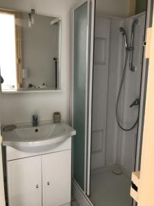 een badkamer met een wastafel en een douche bij Studio meublé et lumineux 20m2 in Vittel