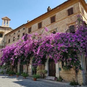 ein Gebäude mit lila Blumen auf der Seite in der Unterkunft ATTICO SULLA BOUGANVILLE (Albergo diffuso) in Corinaldo