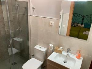 łazienka z prysznicem, toaletą i umywalką w obiekcie Loteta Experience w mieście Magallón