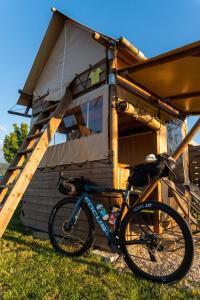 Jízda na kole v ubytování Les Lodges de la ViaRhôna - Tentes Lodges nebo okolí + 7 fotografií