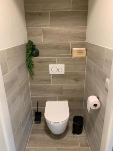 a bathroom with a white toilet in a room at Dijkhofje, dichtbij strand, zee en meer. in Vrouwenpolder +12 photos