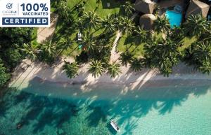 纳玛塔库拉Beachouse Resort的享有热带岛屿棕榈树的空中景致