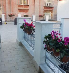twee potplanten op een hek met bloemen bij B&B Soriano44 in Napels