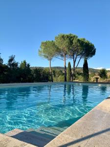 a swimming pool with trees in the background at Villa Il Turchetto in Saturnia