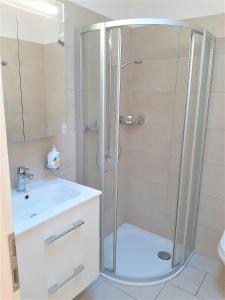 W łazience znajduje się prysznic i umywalka. w obiekcie San Giulio Roveredo w mieście Roveredo