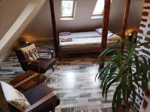 een woonkamer met twee bedden en een potplant bij Gramophone Sofia Downtown Apartment in Sofia