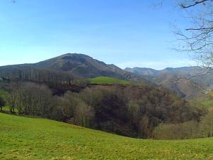 OssèsにあるMaison de vacances vue exceptionnelle sur les montagnes basqueの山の見える緑の丘