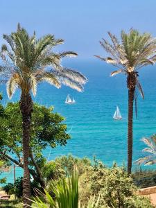 Gallery image of Royal Beach Front Apartments in Netanya