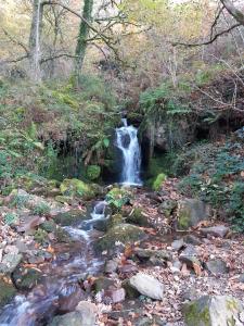a small waterfall in the middle of a forest at Apartamento Baztán in Elizondo