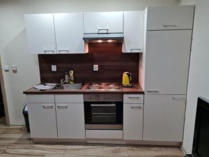 Kuchyň nebo kuchyňský kout v ubytování Apartmány Bystrá-Chopok