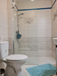 a bathroom with a shower with a toilet and a sink at Apartmány Bystrá-Chopok in Brezno