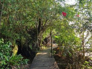 Um jardim em Paraíso Azul Retiro
