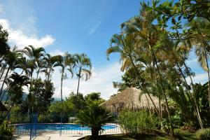 a resort with a swimming pool and palm trees at Finca Hotel el Edén del Quindío in Calarcá