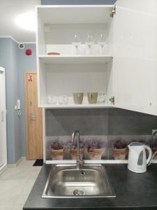 a kitchen counter with a sink and glasses on shelves at Róża- Lotnisko in Wrocław