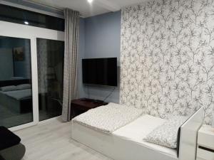 uma sala de estar com uma cama e uma televisão em Róża- Lotnisko em Breslávia