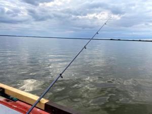 Przyroda w pobliżu tego apartamentu