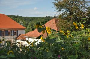 a field of flowers with houses in the background at Ferienwohnung Altes Pfarrhaus Bargen in Bargen