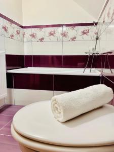 Koupelna v ubytování Apartmány Jetřichovice - České Švýcarsko