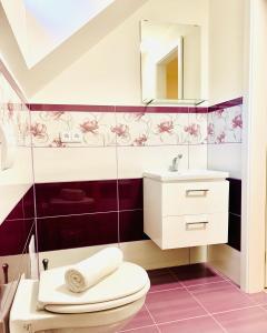 een badkamer met een toilet en een wastafel bij Apartmány Jetřichovice - České Švýcarsko in Jetřichovice