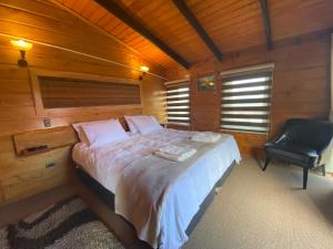 ein Schlafzimmer mit einem Bett und einem Stuhl in einer Hütte in der Unterkunft Hostal Caulle in Río Bueno