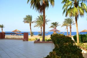 una vista di una spiaggia con palme e l'oceano di Only FAMILIES - Tala Bay Resort Aqaba - Seafront one bedroom apartment ad Aqaba