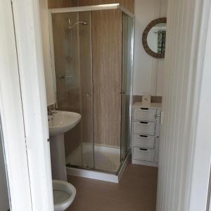 a bathroom with a shower and a toilet and a sink at North Muasdale Farm in Muasdale