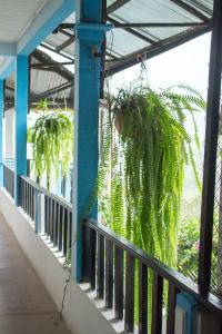 Un balcón o terraza de Hotel Rabin Itzam