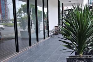 a potted plant sitting outside of a building at PADI PADI HOTEL in Kangar