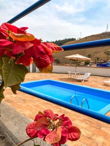 a red flower sitting next to a swimming pool at Pousada Doce Villa in Capitólio