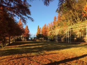 a park in the fall with trees in the background at Top Cloud Villa in Renai