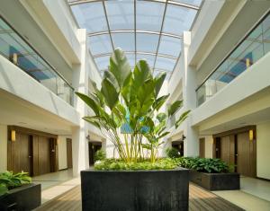 Fotografie z fotogalerie ubytování Belmont Hotel Boracay v destinaci Boracay