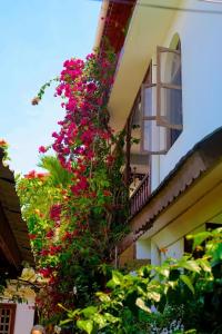 Gallery image of Garden Lodge in Zanzibar City