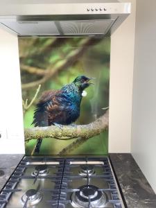 a bird sitting on a branch on a tree at Tui Cottage in Hampden