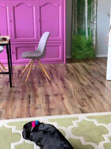 a black dog laying on a rug in a room with a chair at Das Hotel Ostseeblick in Lütjenburg