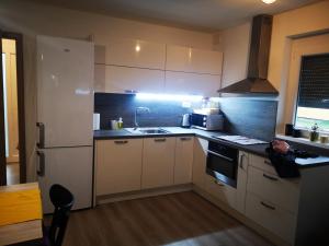 a small kitchen with a sink and a refrigerator at Aparthouse Alfa1 in Čatež ob Savi