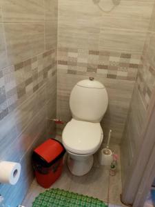a small bathroom with a toilet and a trash can at Kiras in Nida