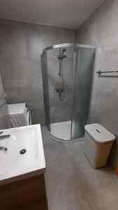 Koupelna v ubytování Holiday Apartment Bolfenk + 14 fotografií