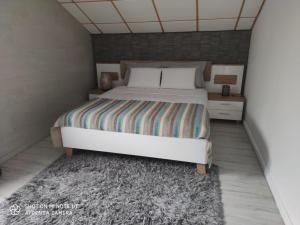 a bedroom with a large bed and a rug at villa Areca in Saint-Joseph