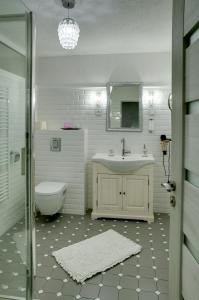 uma casa de banho com um lavatório, um WC e um espelho. em Penzion Swist em Česká Ves