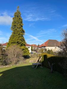 a park bench in front of a pine tree at Au cœur des stations de ski, 10 min de la suisse in Damprichard