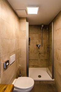 a bathroom with a shower with a toilet and a sink at Altstadt Hotel Self Check-In in Würzburg