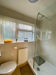 baño con ducha y aseo y ventana en Ty-Nance Cottage, en Caerphilly