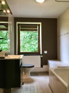 een badkamer met een bad, een toilet en een raam bij Gîte aux prés de mon père in Vresse-sur-Semois
