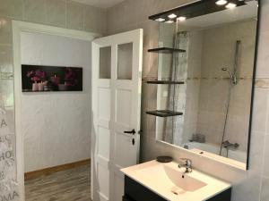 een badkamer met een wastafel, een douche en een spiegel bij Gîte aux prés de mon père in Vresse-sur-Semois
