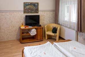 TV a/nebo společenská místnost v ubytování Hotel Zéta