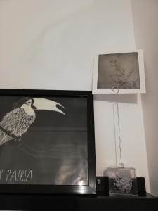 a picture of a bird on top of a tv at Chambre d'hôtes Le Cocon des Champs in Buzet-sur-Baïse